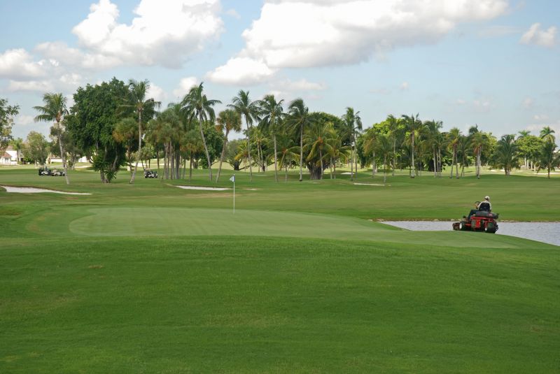 Putting Green Repair